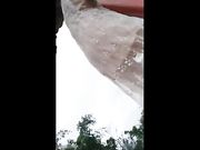 猥琐猪头男和身材不错的白虎女主播在风景区的凉亭里直播啪啪对白清晰