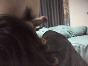 人妻收割机风韵少妇近景口交妩媚勾人的大胸
