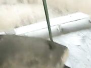 骚货俏秘书跟小哥哥玩刺激的野战叫都不敢大声