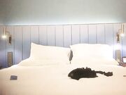 大屌哥高价约两01年萝莉萌妹双飞轮流爆插