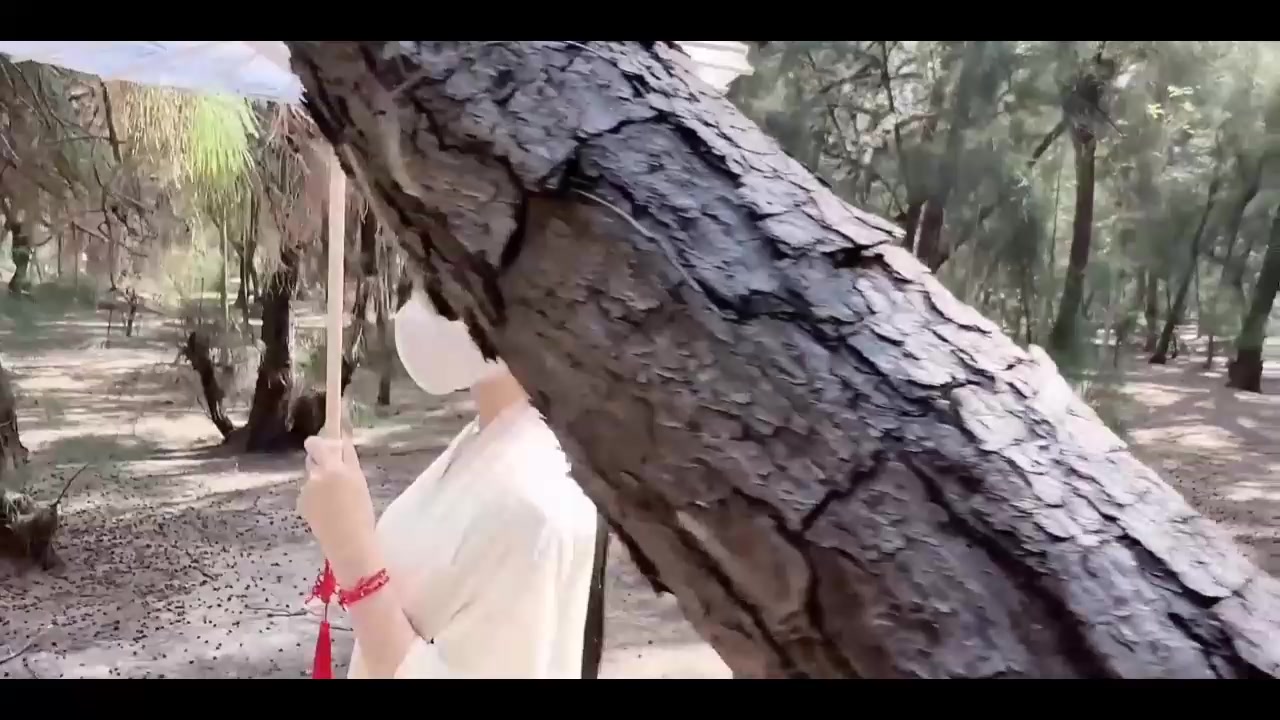 极品清纯校花汉服_唯美清纯小仙女_坚挺白嫩美乳_超级粉嫩小蝴蝶无套爆肏虚脱_剧烈反差