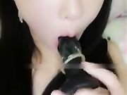美女直播系列