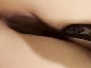 研宝宝直播
