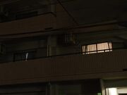 一名已婚妇女沉迷于与住在垃圾房里的不忠男子的婚外情天海つばさ 1