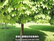 絕美小鎮 奧地利之旅