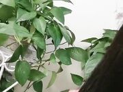 约粉丝到家中啪啪 提前吃了春药骚劲一会儿就上头 口交后入观音坐莲激情无限