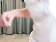 剧情演绎粉穴美女晚上找算命先生上门 你那个很久没用会不生锈了
