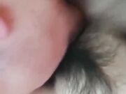 小鲜肉和花棉裤阿姨的故事车震偷情舔B吃J内射浓精年少就知阿姨好只管开心