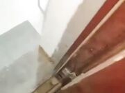 勾搭在公司加夜来的女员工