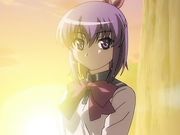 美乳淑女ととことんヤリまくって中出し 第一章