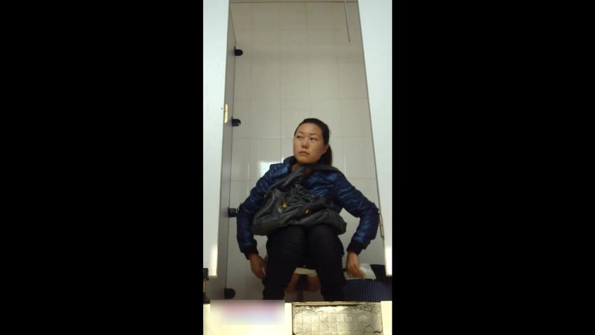 公厕经典盗录各色女性放尿环肥燕瘦形态各异