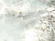 露脸骚货俏秘书跟小哥哥玩刺激的野战找个没人的地方就开干