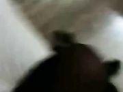 女神嫩模思儿与纹身男友激情做爱自拍披肩黑丝主动女上骑乘
