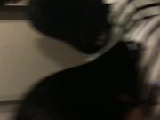 小眼睛单眼皮猥琐小伙与热恋中的漂亮小女友偷尝禁果小美女很活泼