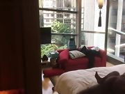 气质风韵的阿姨怕是逼穴太干旱了，多年没云雨过