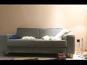 巨乳纹身女做爱叫床声音好销魂