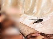 【极品TS】超漂亮的TS千舞女神 简直比女人还女人 专业深喉口活 黑丝诱惑 爆菊抽插浪叫 高清720P完整版合