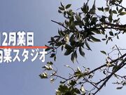 马赛克破坏版 藤井爱纱 01