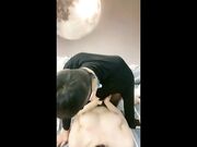 跪着深喉整根插入 69姿势掰穴舔逼 拉着项圈后入猛操