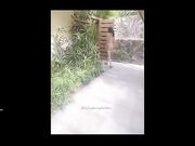 顶级网红《wister》土豪专享私人玩物 黑丝美乳3P怼操 淫叫高潮